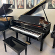 2005 JP Pramberger Platinum Edition grand piano - Grand Pianos